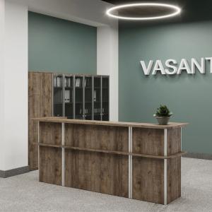 Ресепшн Vasanta