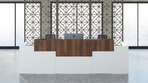 Ресепшн Europa