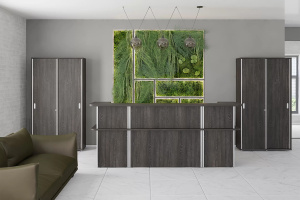 Ресепшн Vasanta прямой V-85