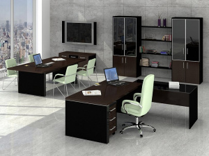 Кабинет руководителя Parliament