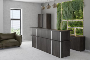 Ресепшн Vasanta прямой V-85