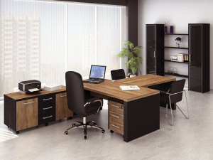 Кабинет руководителя Parliament